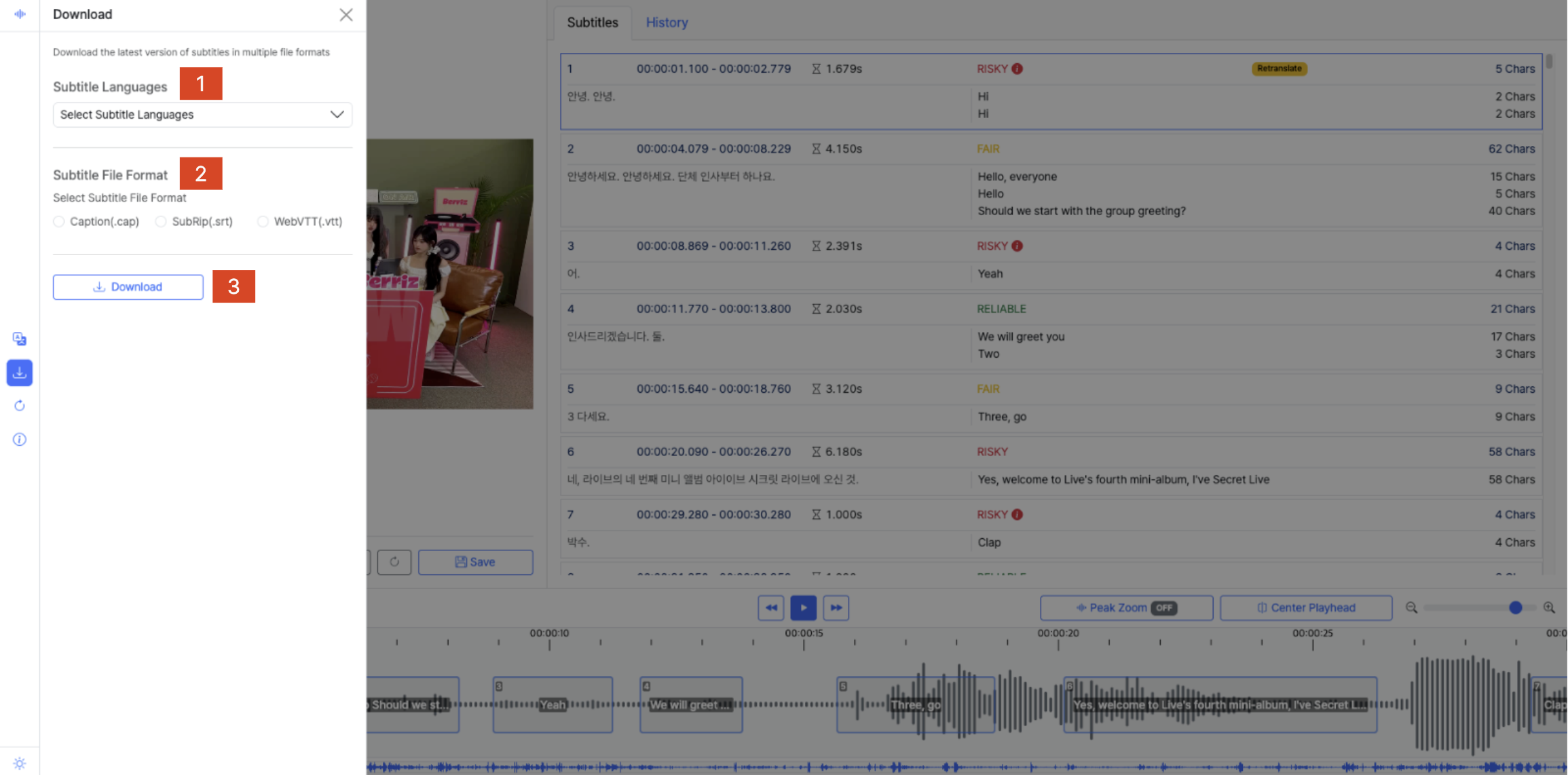 Subtitle Editor - Download Panel